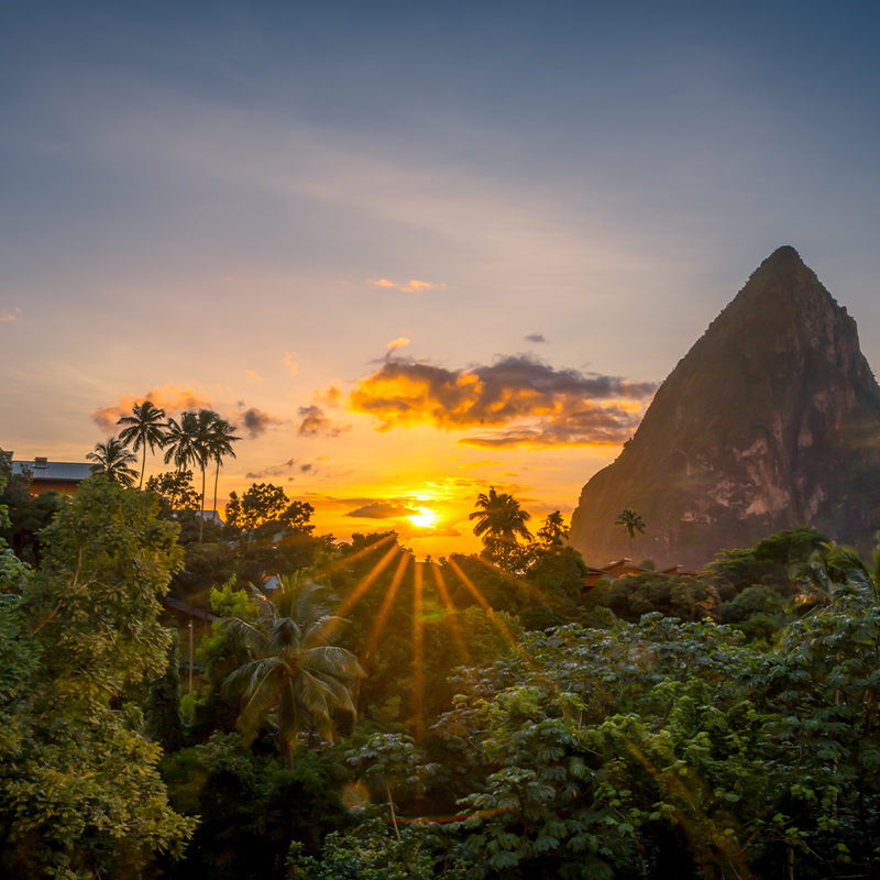 Sunset over lush greenery with a prominent mountain peak in the background, palm trees silhouetted against the vibrant sky in the Castries St Lucia