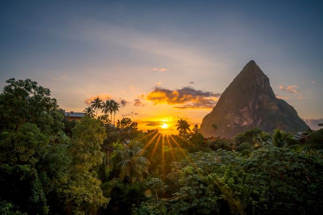 Sunset over lush tropical forest with a prominent mountain peak in Castries St Lucia