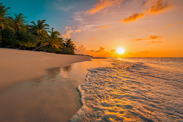 Beautiful panoramic sunset tropical paradise beach. Tranquil summer vacation or holiday landscape. Tropical sunset beach seaside palm calm sea panorama exotic nature view inspirational seascape scenic