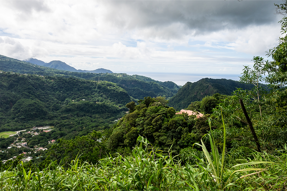 The Caribbean Island Dominica