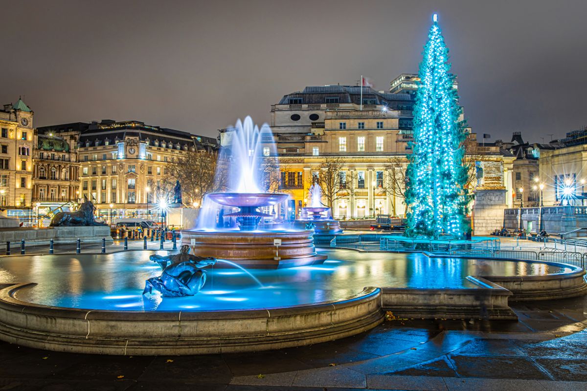 Norwegian Spruce Christmas tree in Trafalgar Square