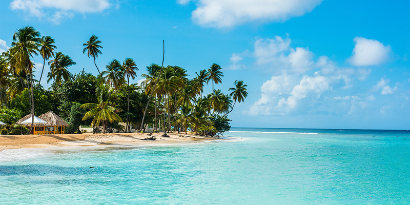Sandy beach and palm trees of Pigeon Point, Tobago