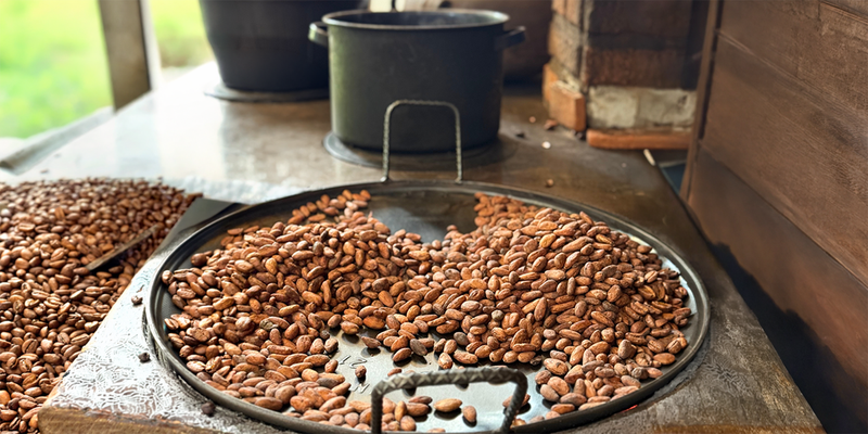 A tray of roasted cocoa beans on a wooden surface