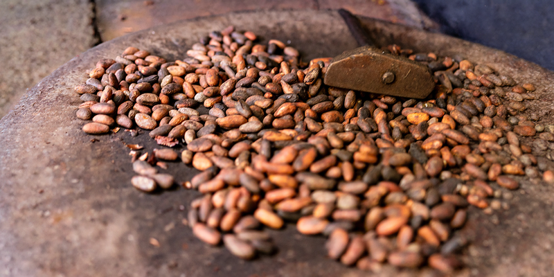 Cocoa beans being roasted on a stone surface with a hand tool.