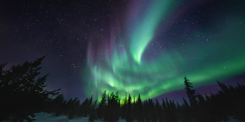 A vibrant aurora borealis illuminates the night sky above a silhouetted forest.