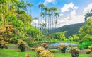 Martinique, French West Indies, Caribbean