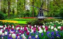 Amsterdam, Netherlands