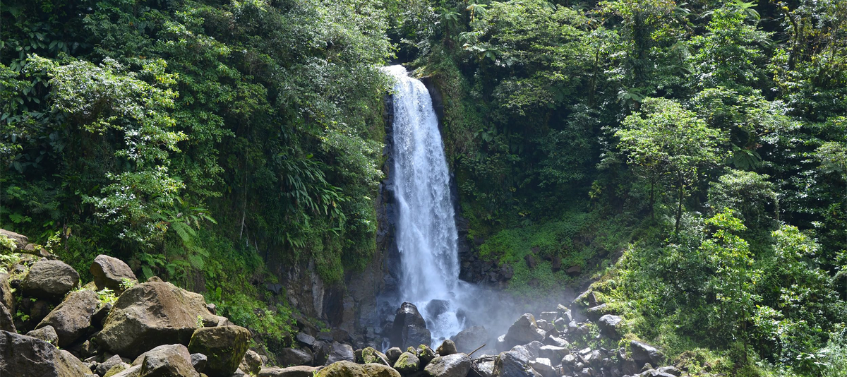 A waterfall cascading down a cliff in Roseau, Dominica surrounded by a forest