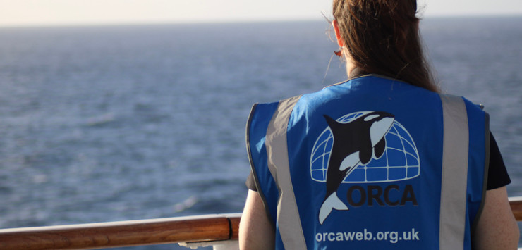 ORCA