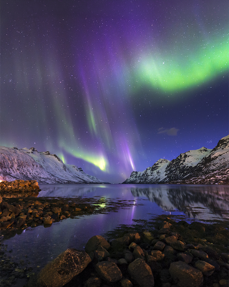 Aurora borealis lights up the night sky over snow-covered mountains and a calm fjord, reflecting vibrant green and purple hues in the water.