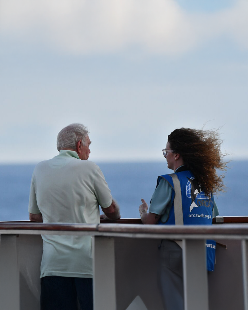Wildlife watch