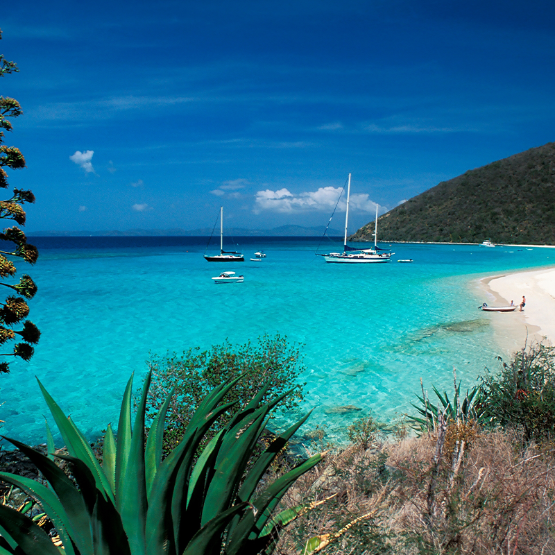 CARIBBEAN - BRITISH VIRGIN ISLANDS - JOST VAN DYKE ISLAND - White Bay