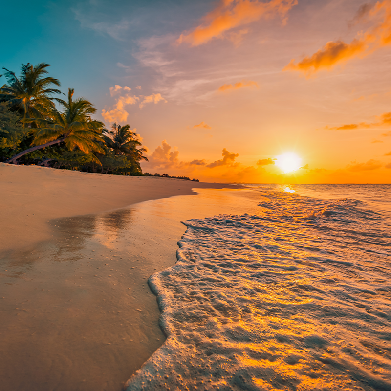 Beautiful panoramic sunset tropical paradise beach. Tranquil summer vacation or holiday landscape. Tropical sunset beach seaside palm calm sea panorama exotic nature view inspirational seascape scenic