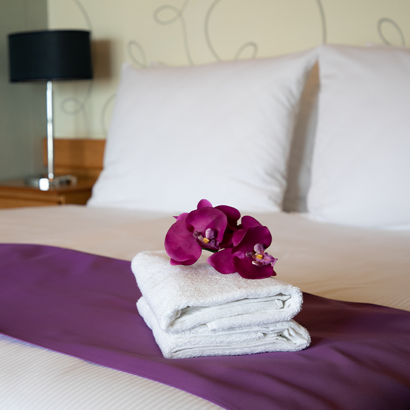 Ambassador’s cabins, Sleep Well at Sea