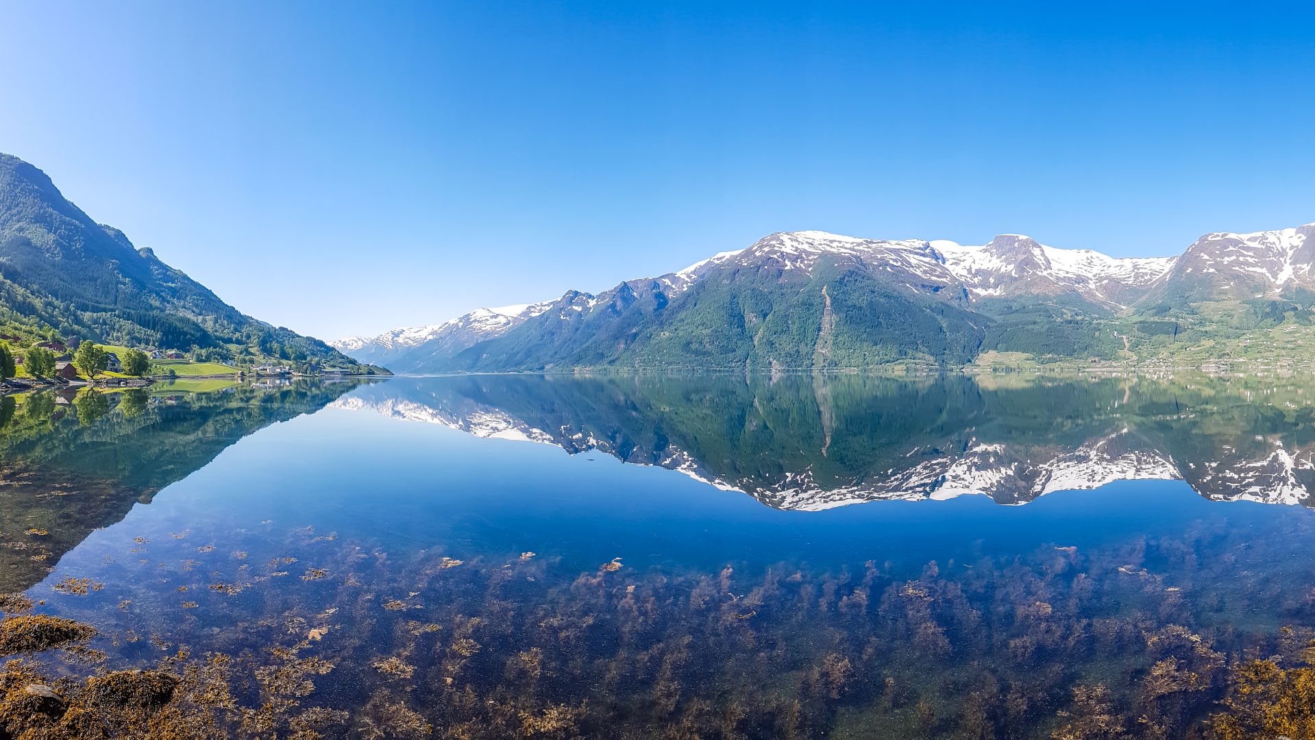 Winter Fjords
