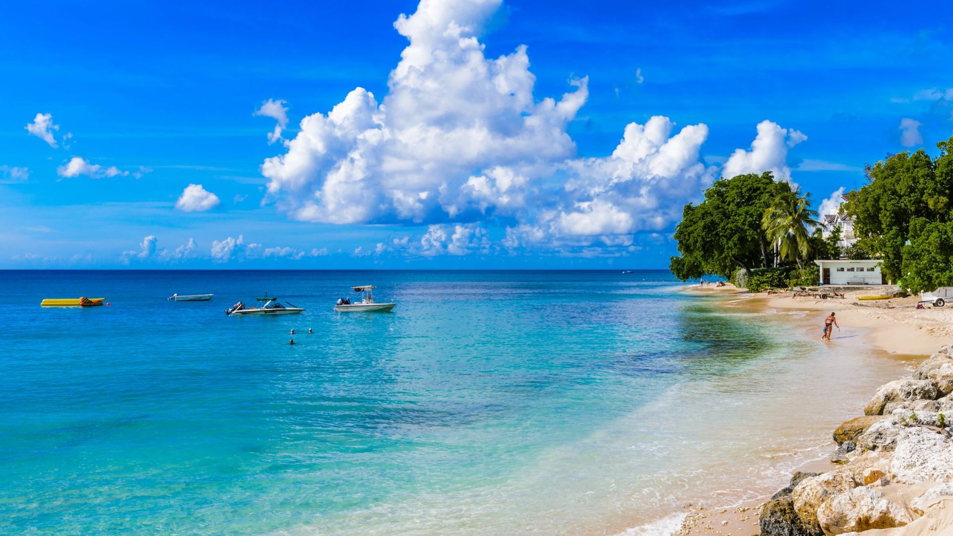 Tropical Horizons - A Caribbean Adventure (Heathrow Airport)