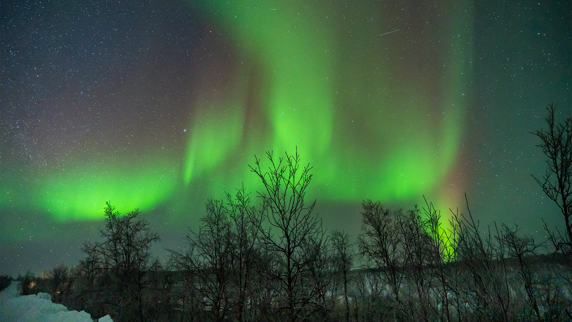 Aurora Borealis & Arctic Norway Discovery