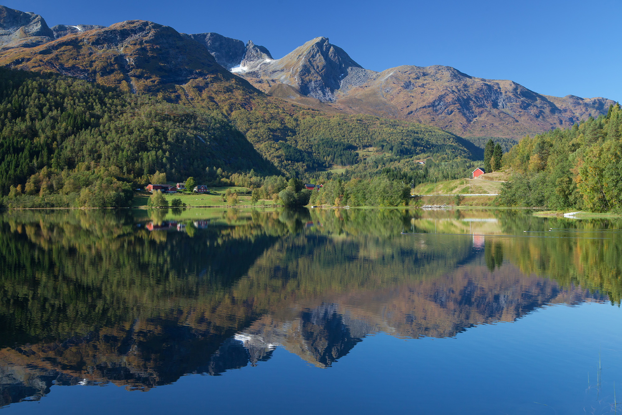 Melting Horizons: A Norwegian Spring Voyage