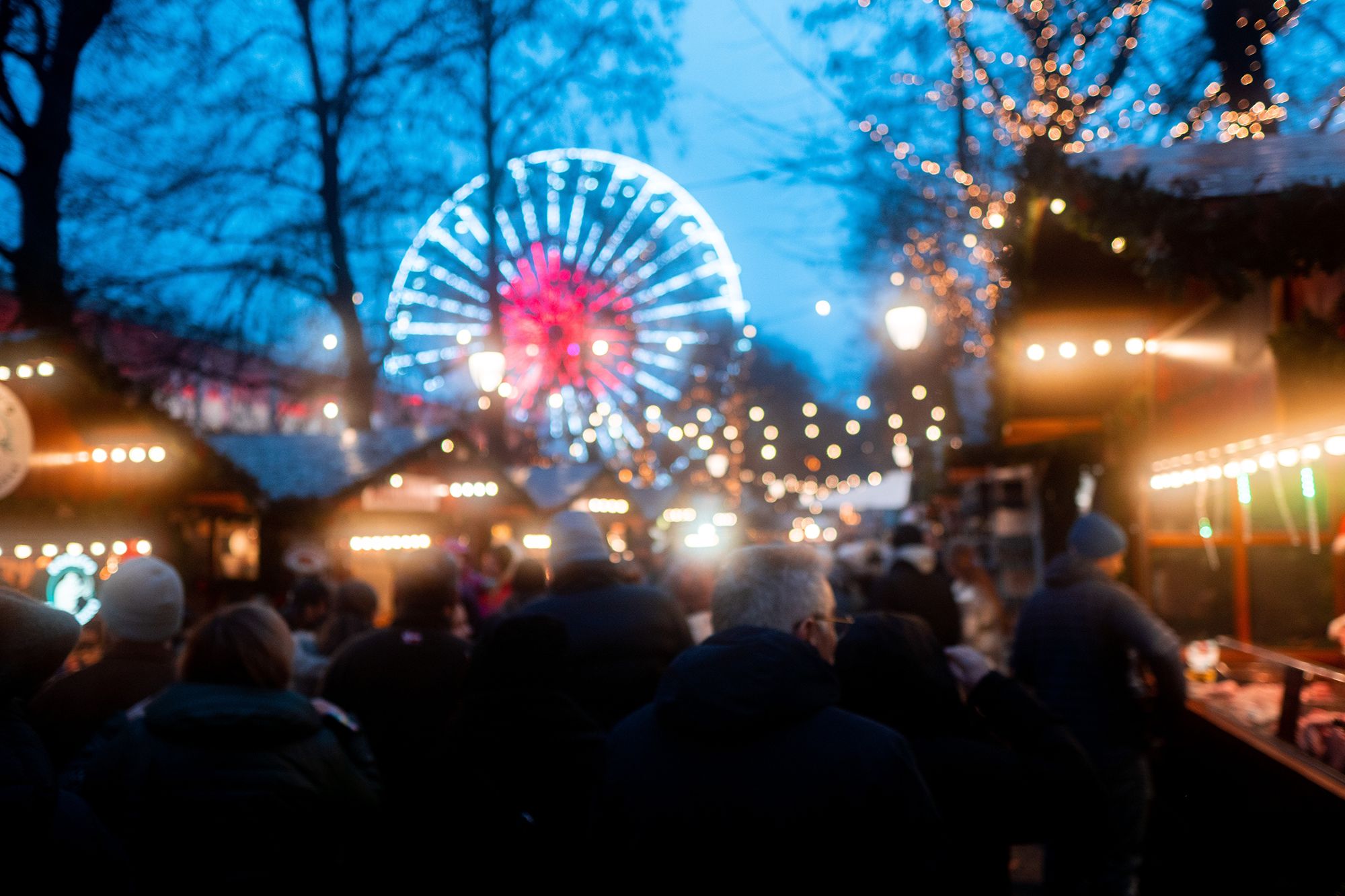 Festive Flavours of Honfleur & Cherbourg