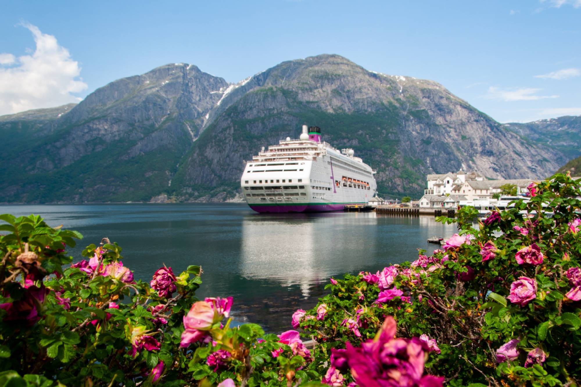 Springtime Fjords, Mountains & Glaciers